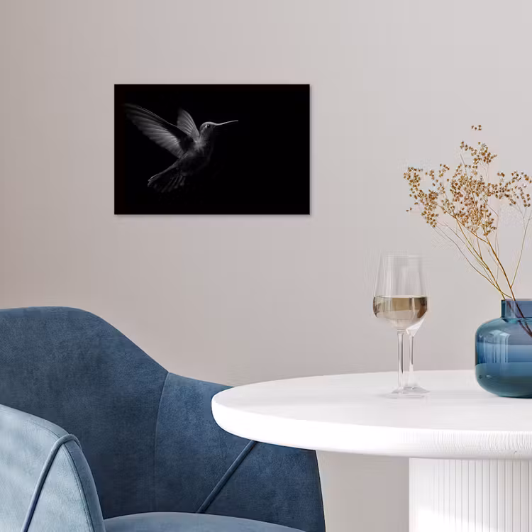 Poster - Kolibrie - Zwart - Dieren — 4