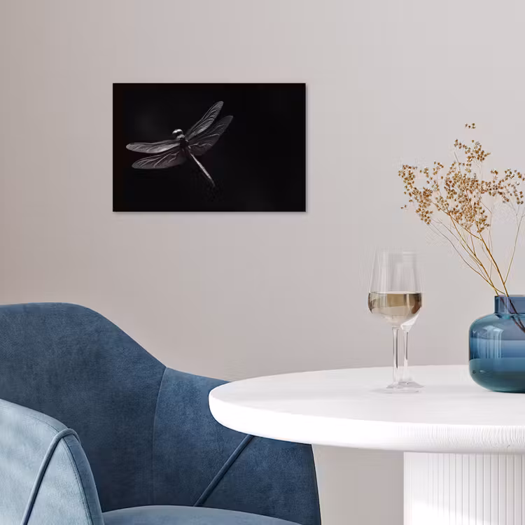 Poster - Libelle - Dieren - Zwart - Insect — 4