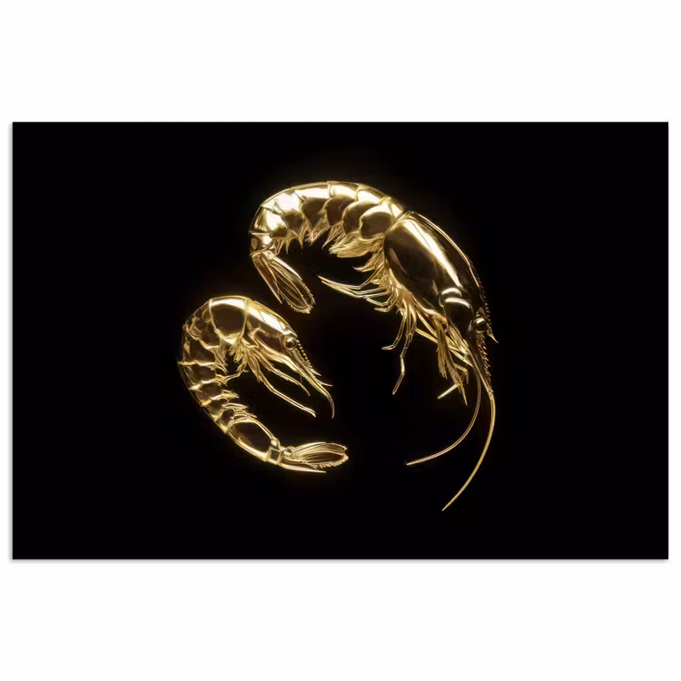 Poster - Garnalen - Zwart - Goud - Dieren — 1