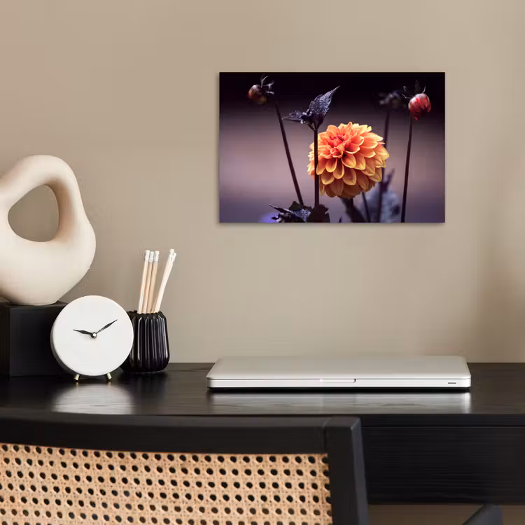 Poster - Bloemen - Chrysant - Macro - Planten — 2