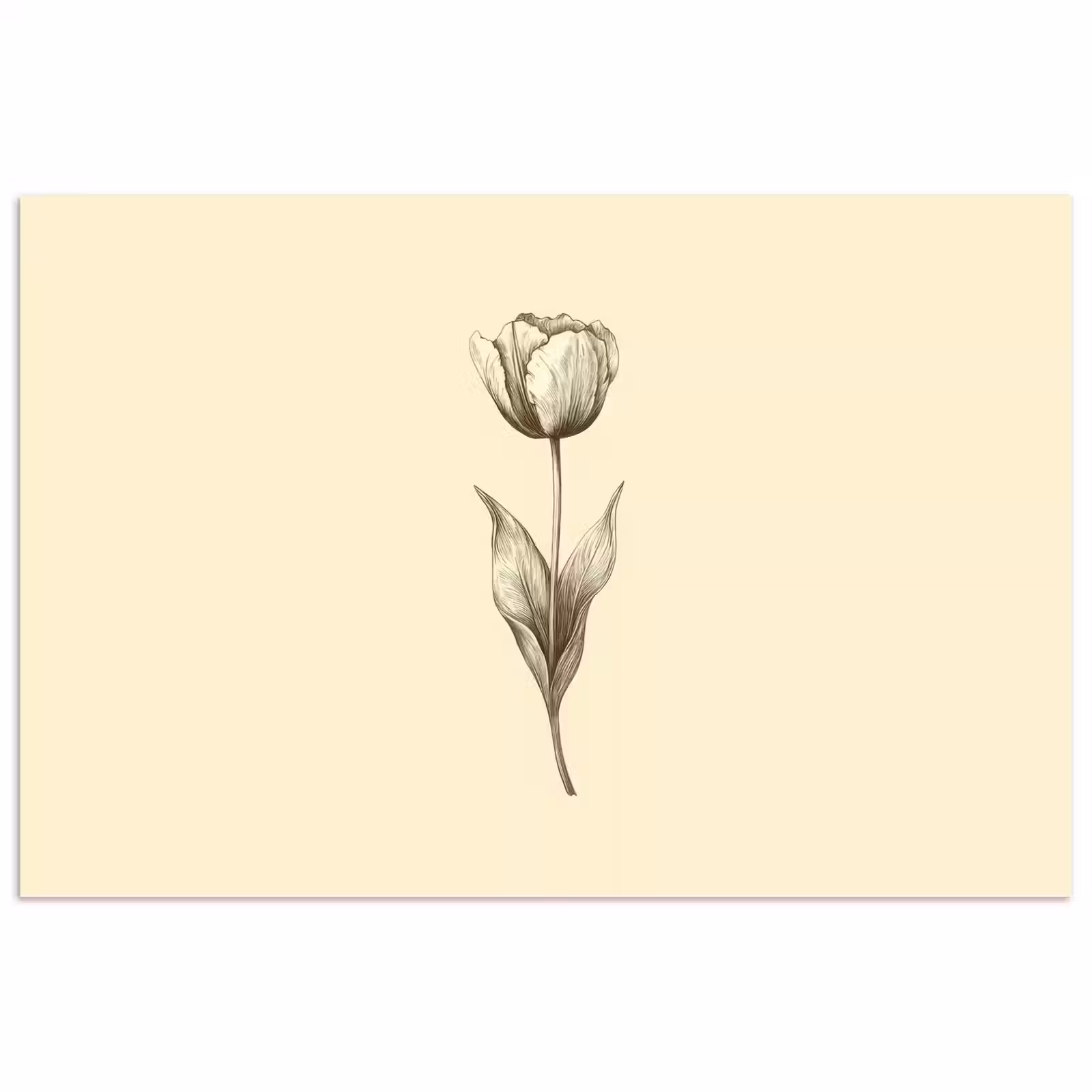 Poster - Illustratie - Tulp - Zwart — 1
