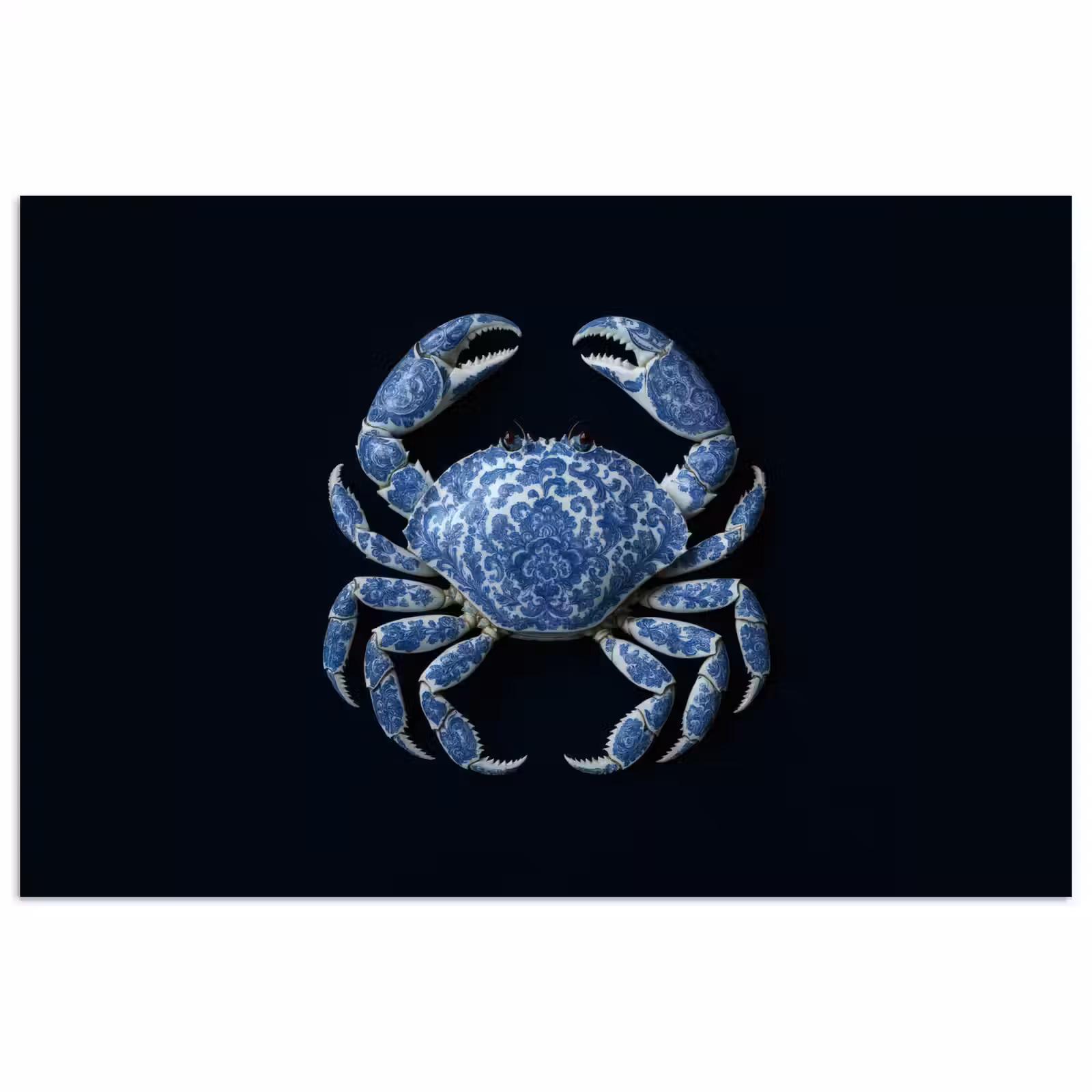 Poster - Krab - Delfts blauw - Dieren — 1