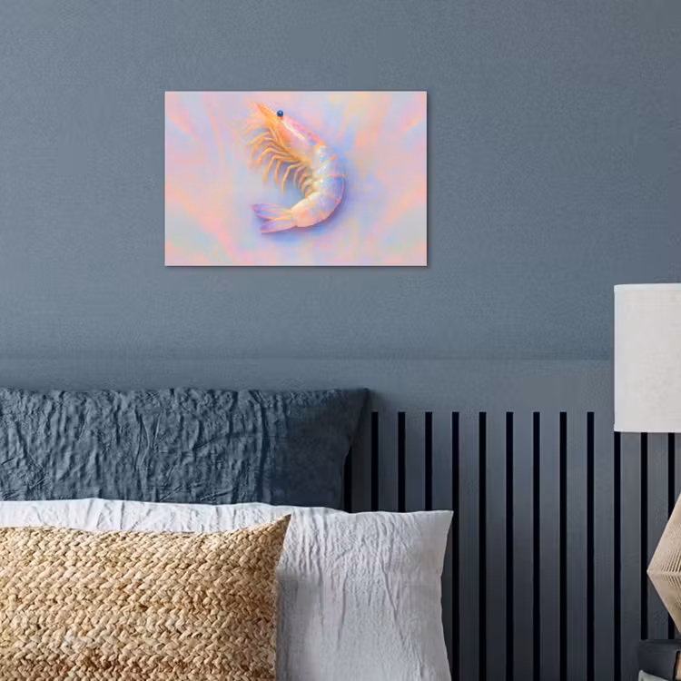 Poster - Garnaal - Subtiele structuur - Blauw - Roze — 3
