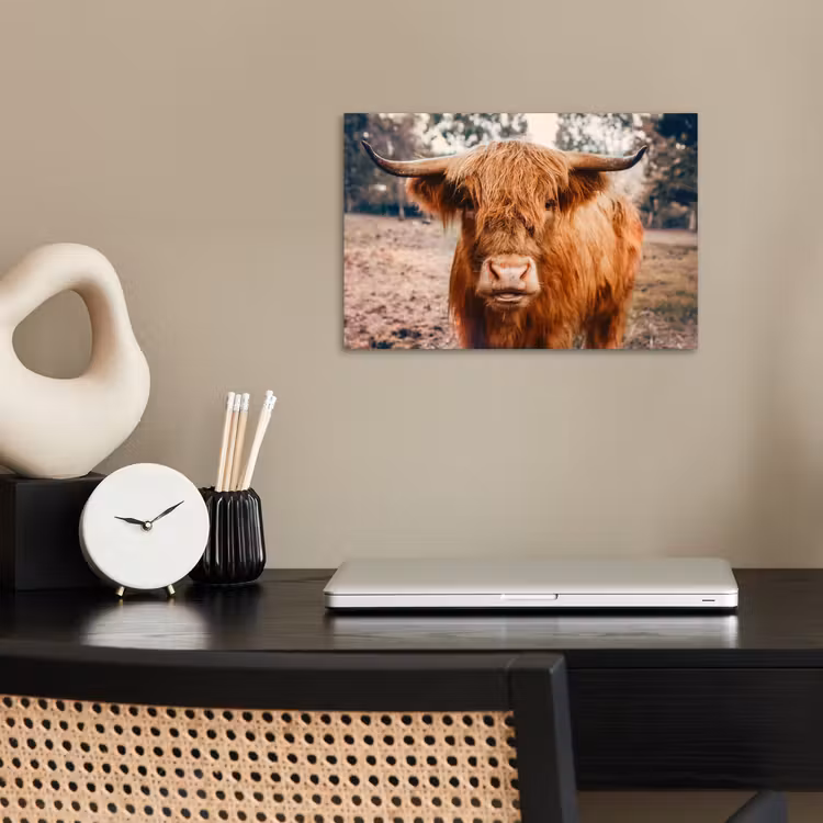 Poster - Koe- Schotse hooglander - Hoorns - Bruin - Landschap — 2