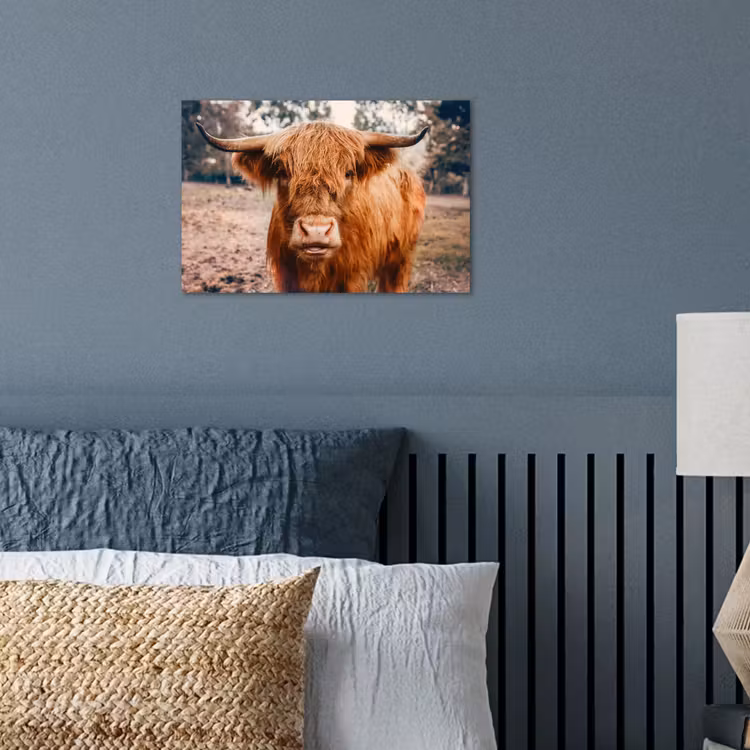 Poster - Koe- Schotse hooglander - Hoorns - Bruin - Landschap — 3