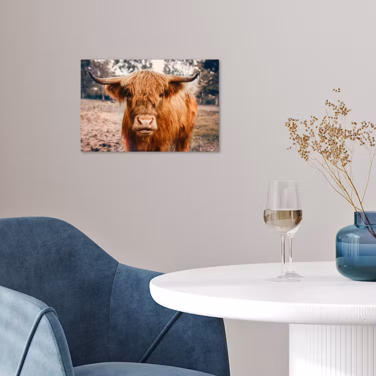 Poster - Koe- Schotse hooglander - Hoorns - Bruin - Landschap — 4