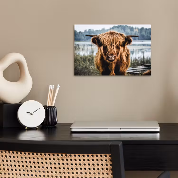 Poster - Koeien - Schotse hooglander - Bruin - Natuur — 2
