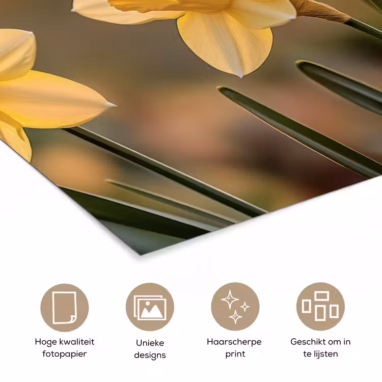 Poster - Bloemen - Geel - Wazig — 5