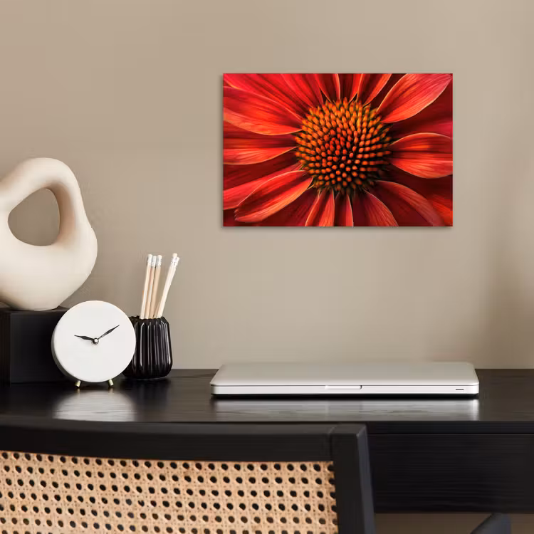 Poster - Close up - Bloem- Rood — 2