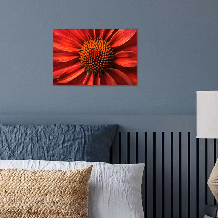 Poster - Close up - Bloem- Rood — 3