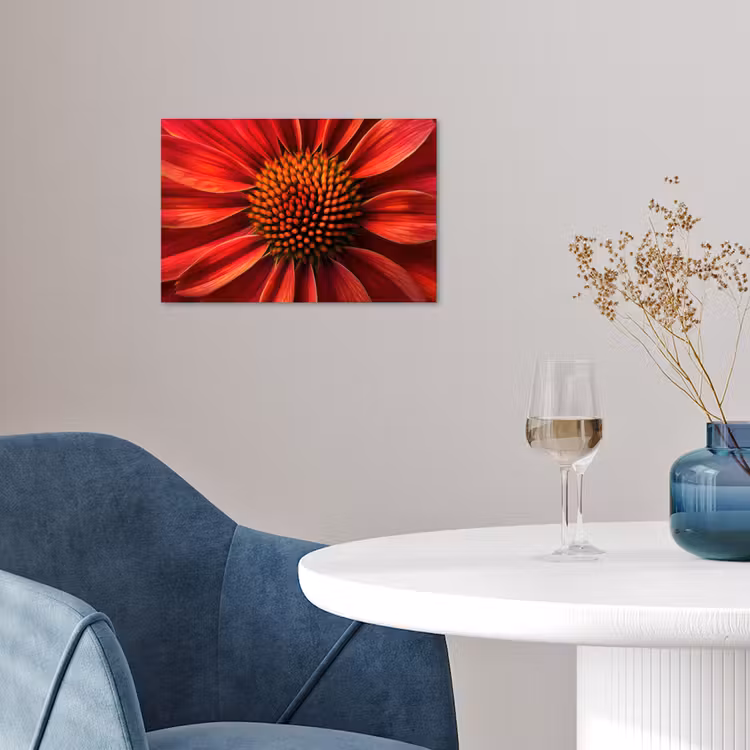 Poster - Close up - Bloem- Rood — 4
