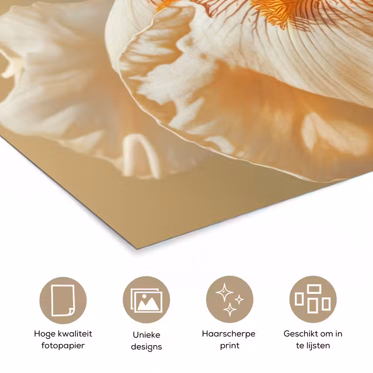 Poster - Close up - Oranje - Iris — 5