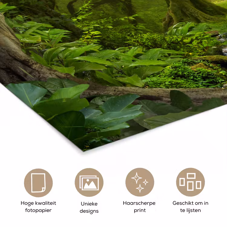 Poster - Jungle - Groen - Natuur - Tropisch - Planten — 5