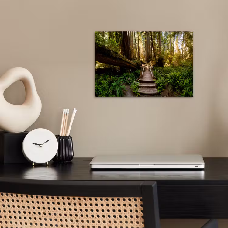 Poster - Jungle - Natuur - Trap - Bomen — 2