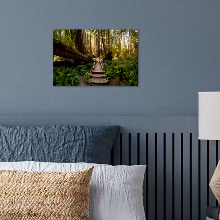 Poster - Jungle - Natuur - Trap - Bomen — 3