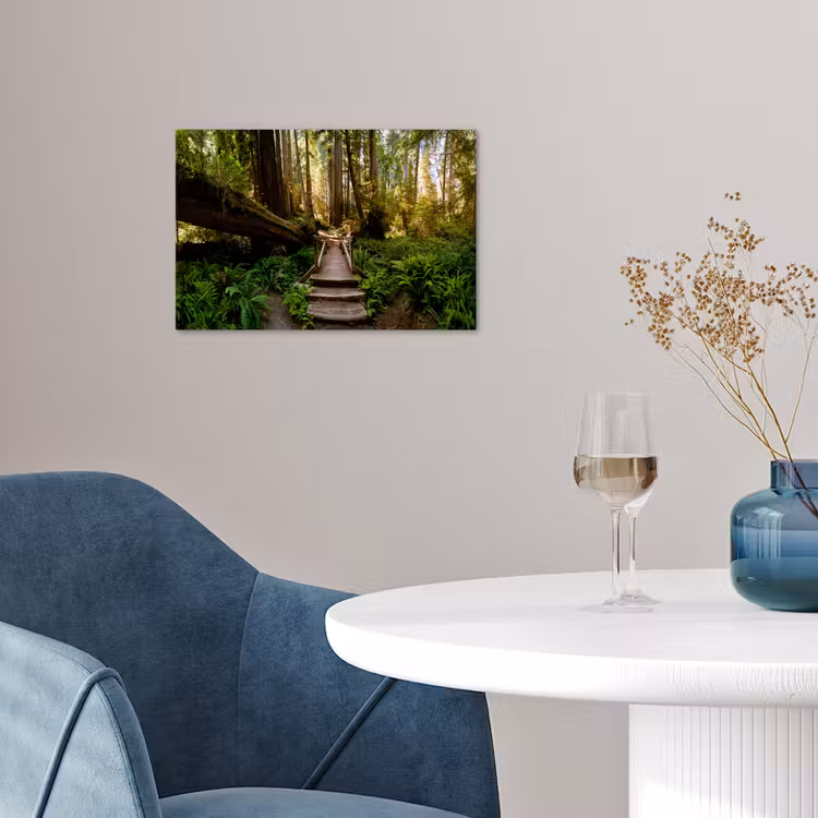 Poster - Jungle - Natuur - Trap - Bomen — 4