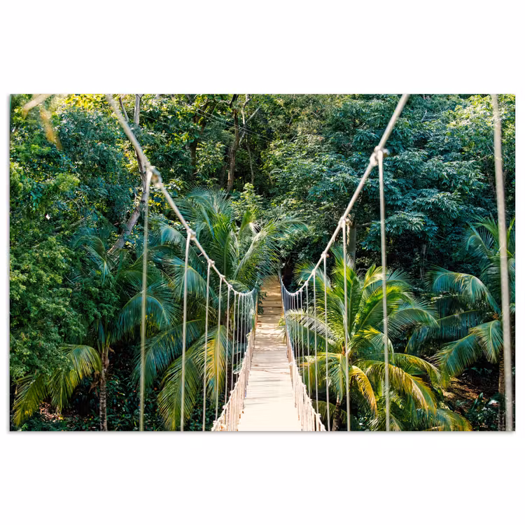 Poster - Jungle - Palmboom - Brug - Natuur - Planten — 1