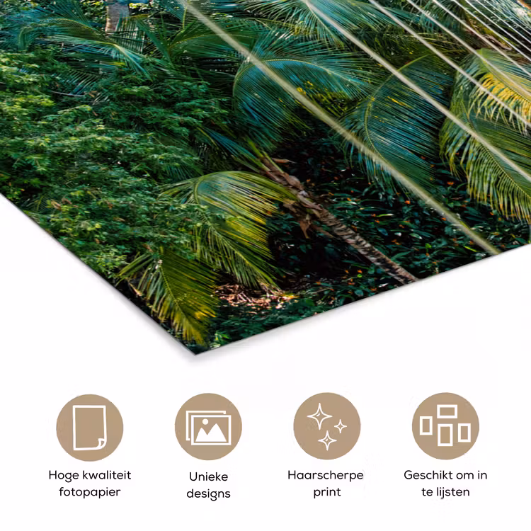 Poster - Jungle - Palmboom - Brug - Natuur - Planten — 5