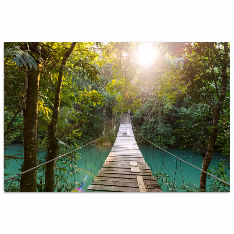 Poster - Jungle - Water - Brug - Natuur - Planten — 1