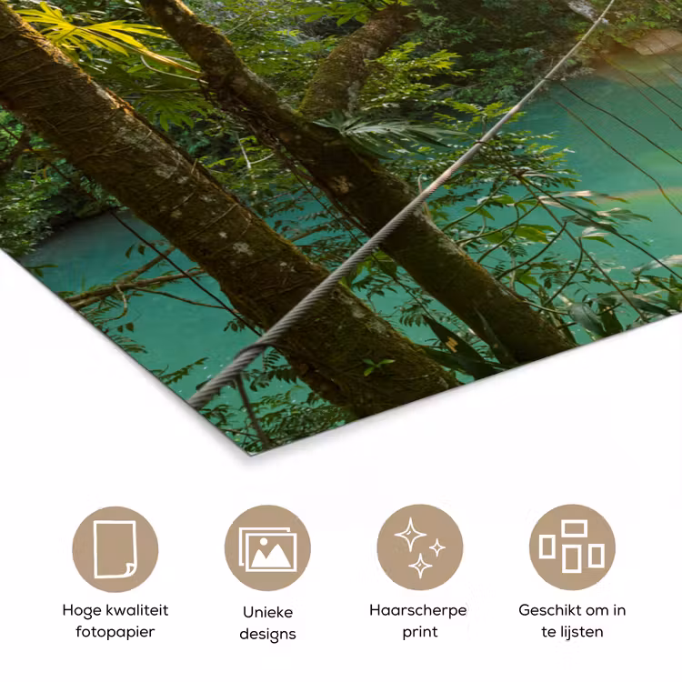 Poster - Jungle - Water - Brug - Natuur - Planten — 5