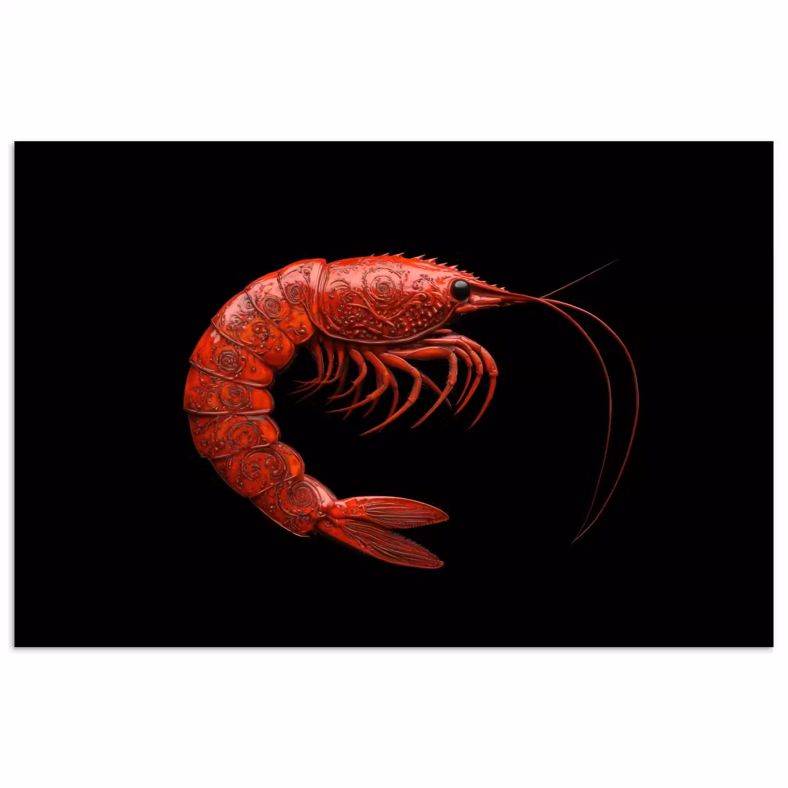 Poster - Garnaal - Rood - Dieren — 1