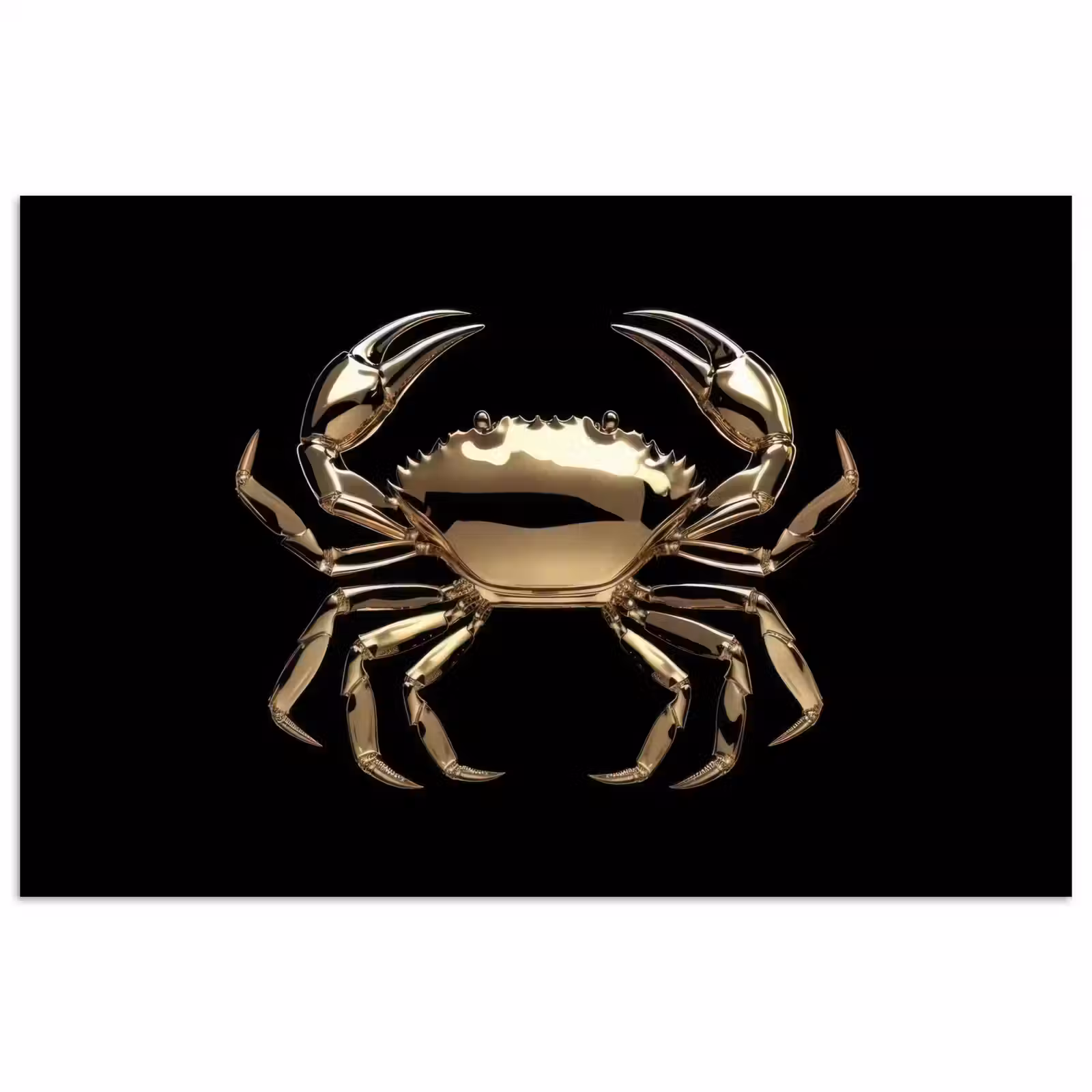 Poster - Goud - Krab - Dieren - Zwart — 1