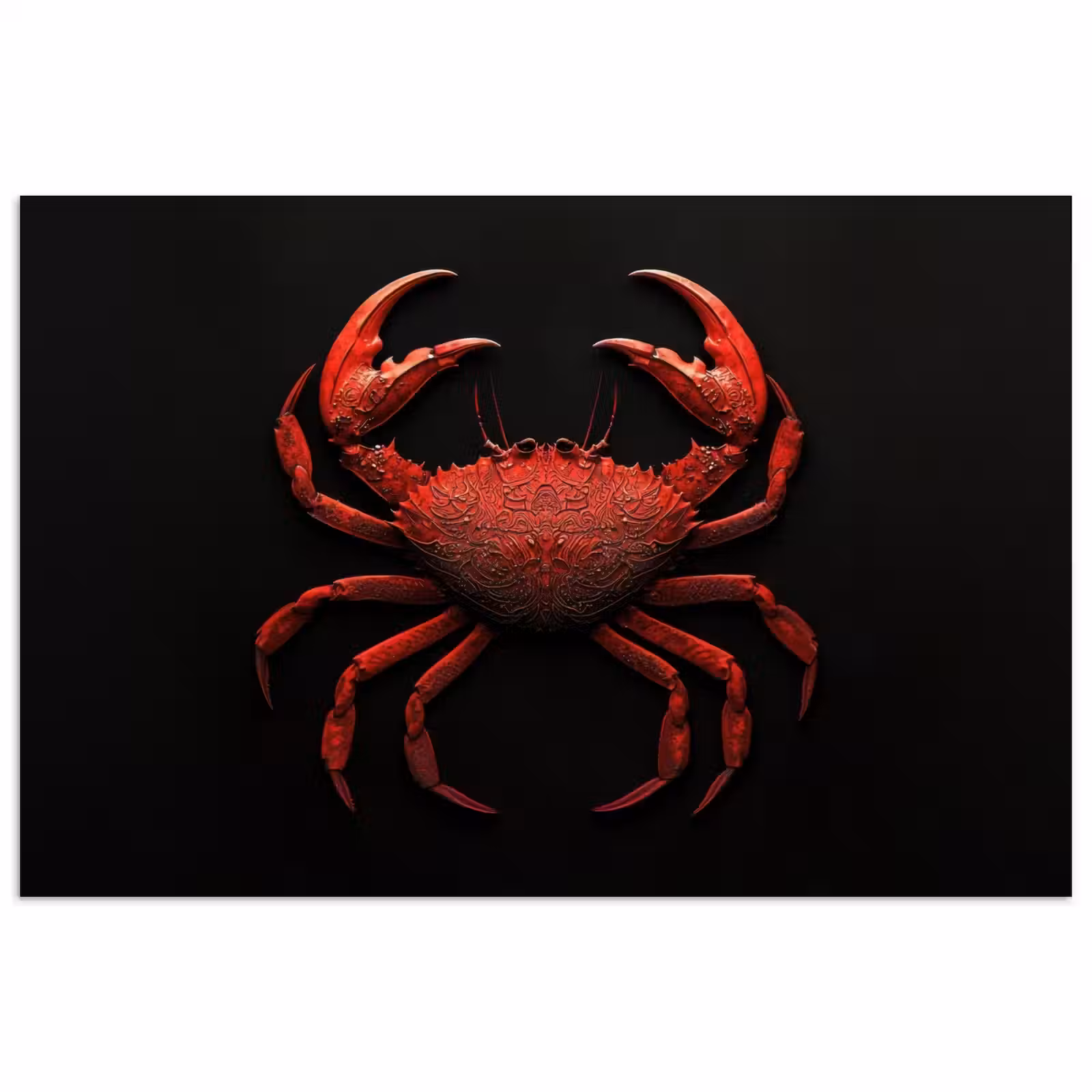 Poster - Krab - Rood - Vissen - Schaaldieren — 1