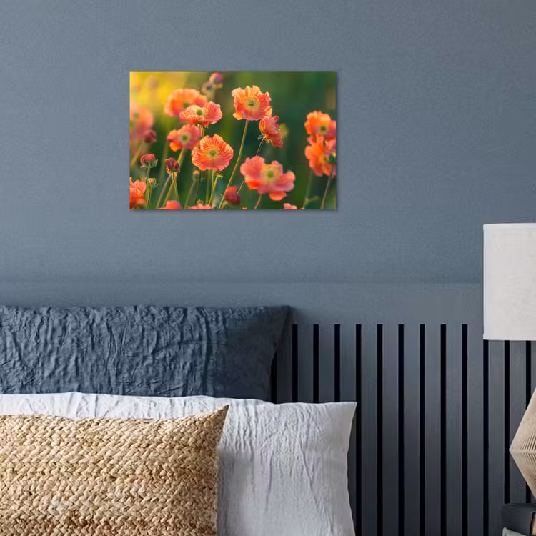 Poster - Bloemenveld - Zonnestralen - Oranje — 3