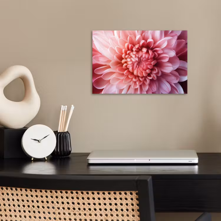 Poster - Dahlia - Bloem - Close up - Roze — 2