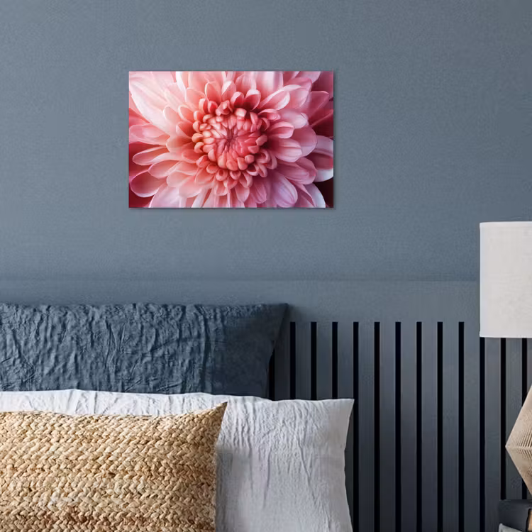 Poster - Dahlia - Bloem - Close up - Roze — 3