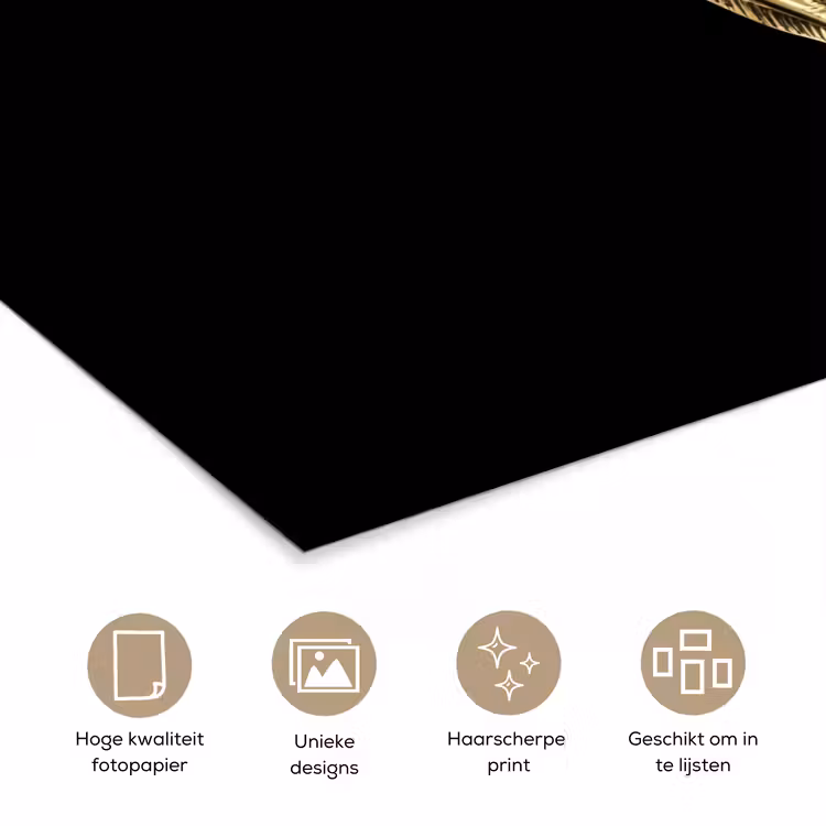 Poster - Goud - Vis - Haak - Zwart — 5