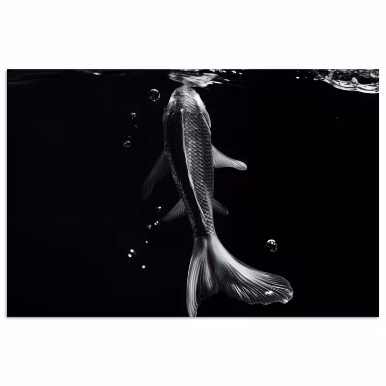 Poster - Koi - Vissen - Water - Zwart — 1
