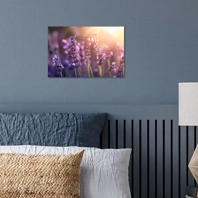 Poster - Lavendelbloemen - Paars - Zonlicht — 3