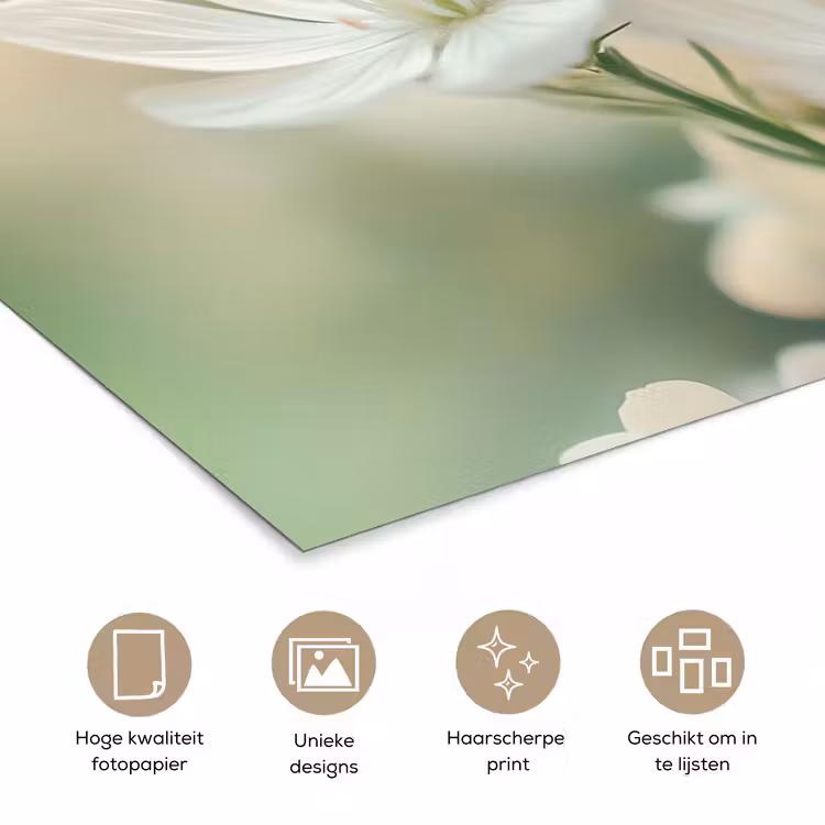 Poster - Lieveheersbeestje - Bloemen - Wit — 5