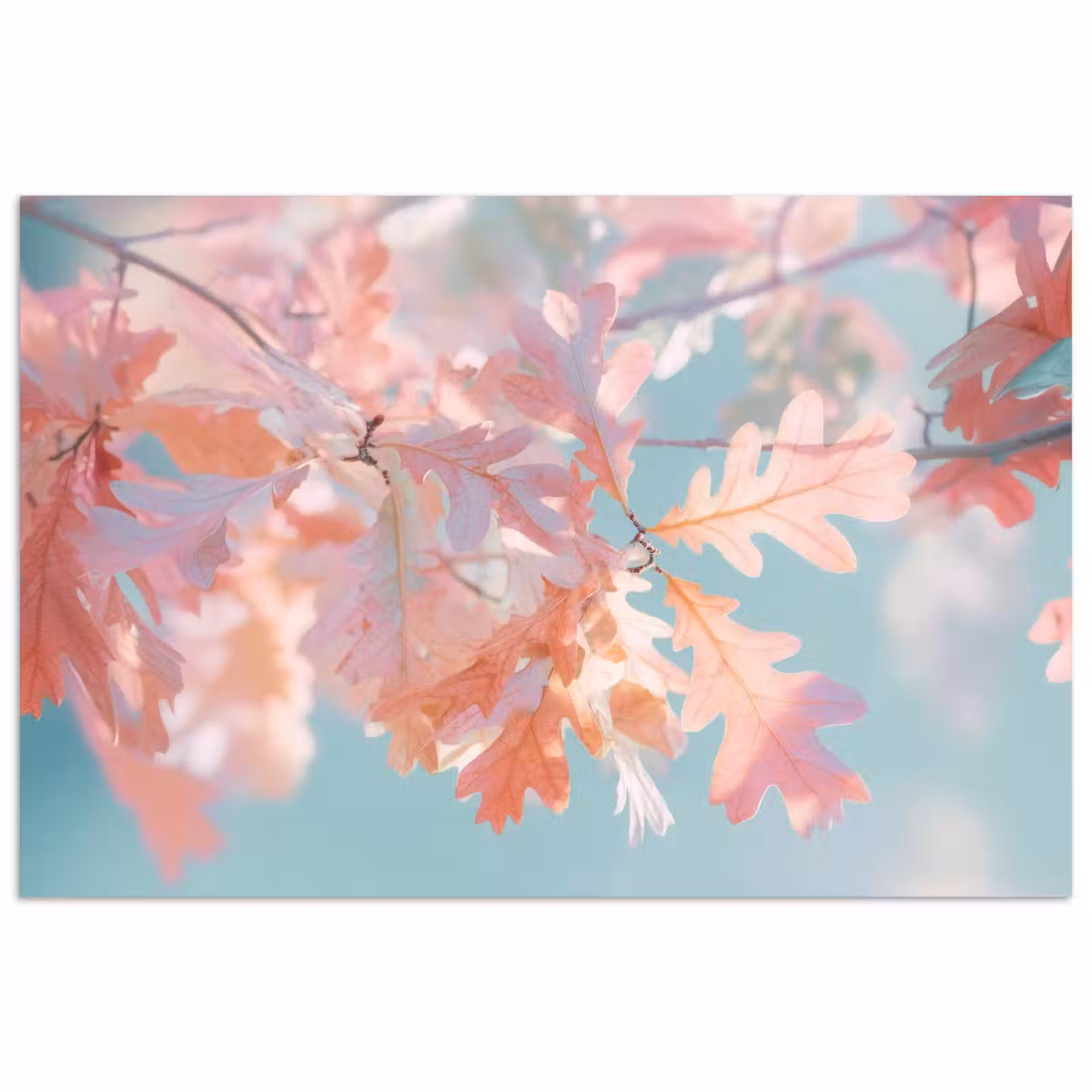 Poster - Eikenbladeren - Takken - Roze — 1