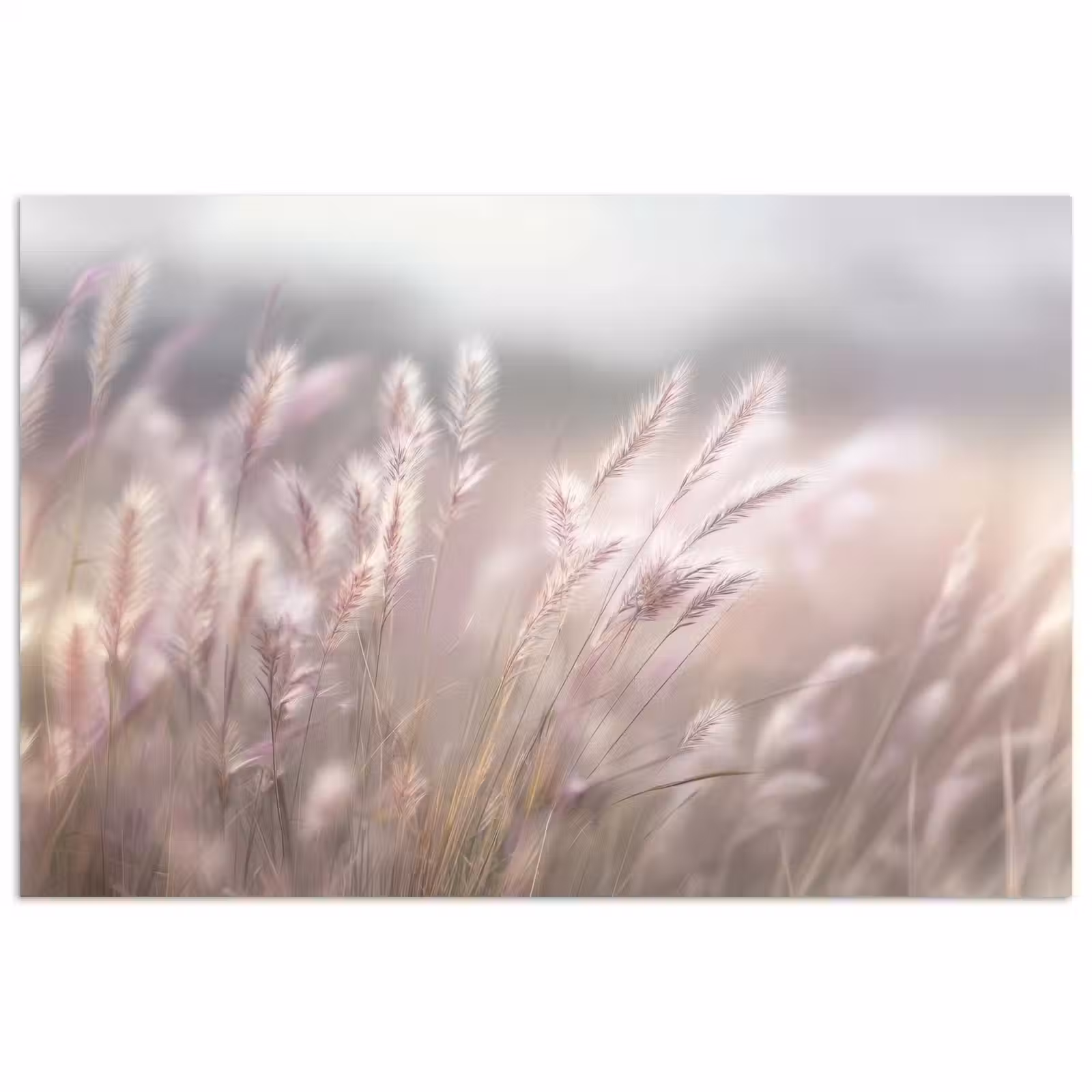 Poster - Graspluimen - Wind - Beige - Mistig — 1