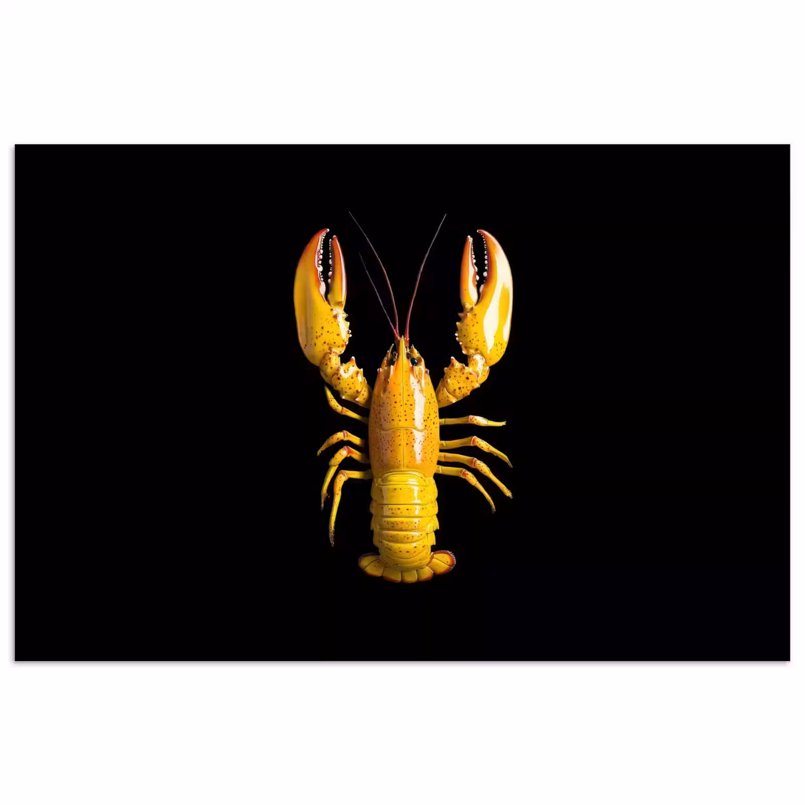 Poster - Kreeft - Geel - Stippen - Effen — 1
