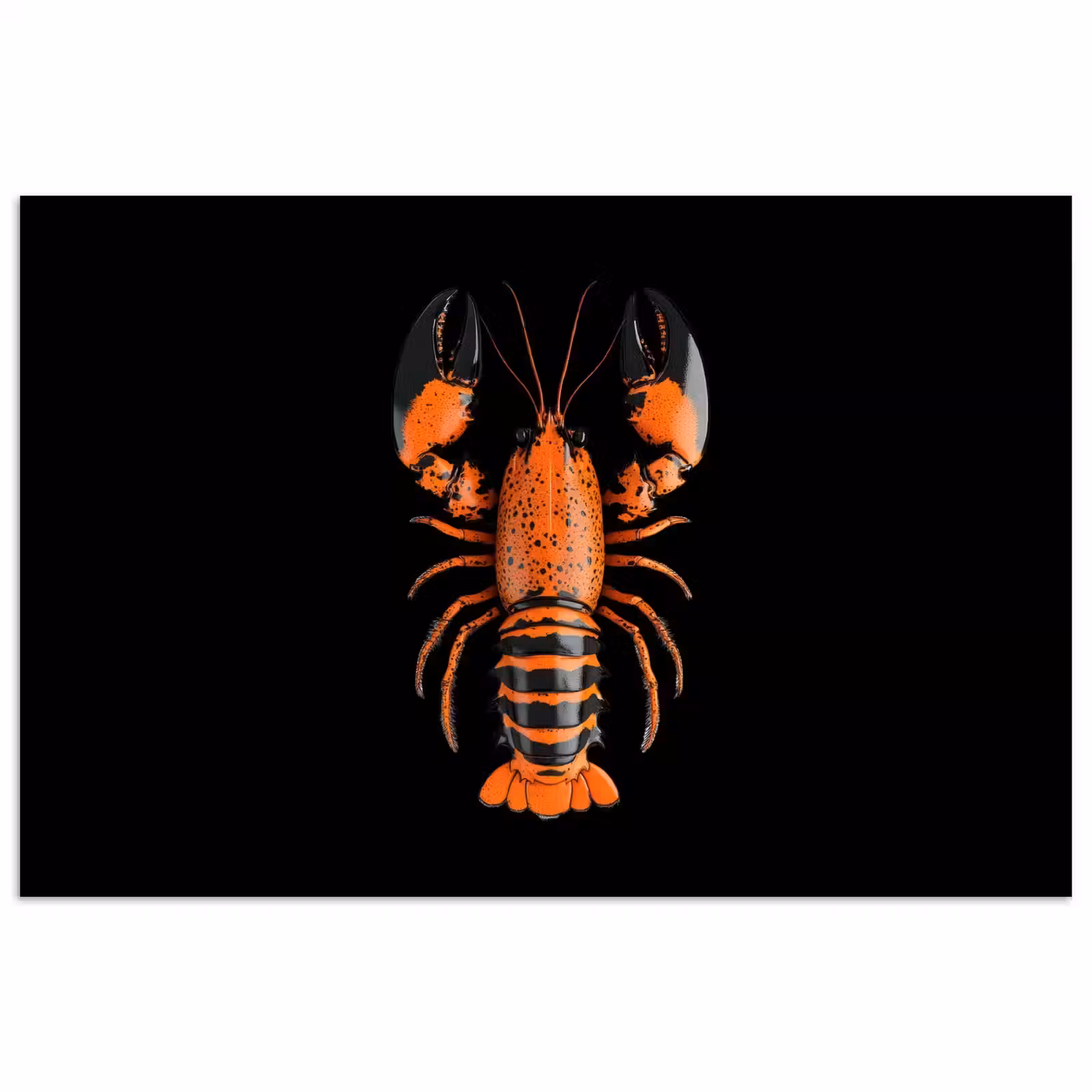 Poster - Kreeft - Oranje - Zwart - Modern — 1