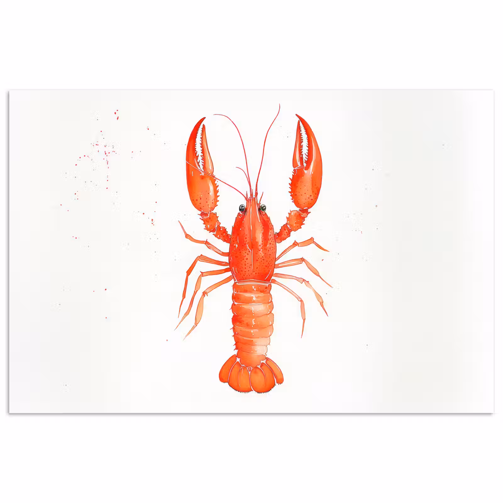 Poster - Kreeft - Waterverf - Aquarel - Oranje — 1