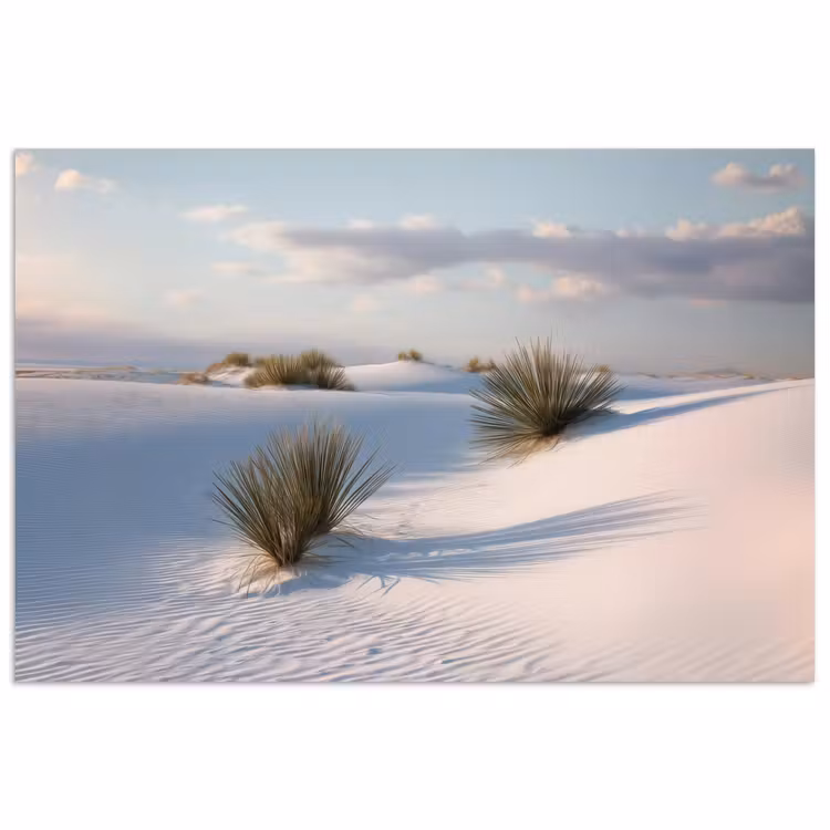 Poster - Duinen - Gras - Wolken - Beige — 1