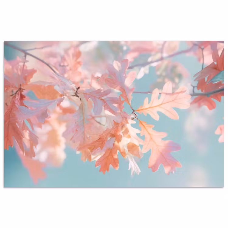 Poster - Eikenbladeren - Takken - Roze — 1