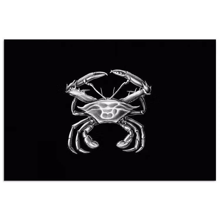 Poster - Ernst Haeckel - Krab - Oude meesters - Vintage - Dieren - Kunst — 1
