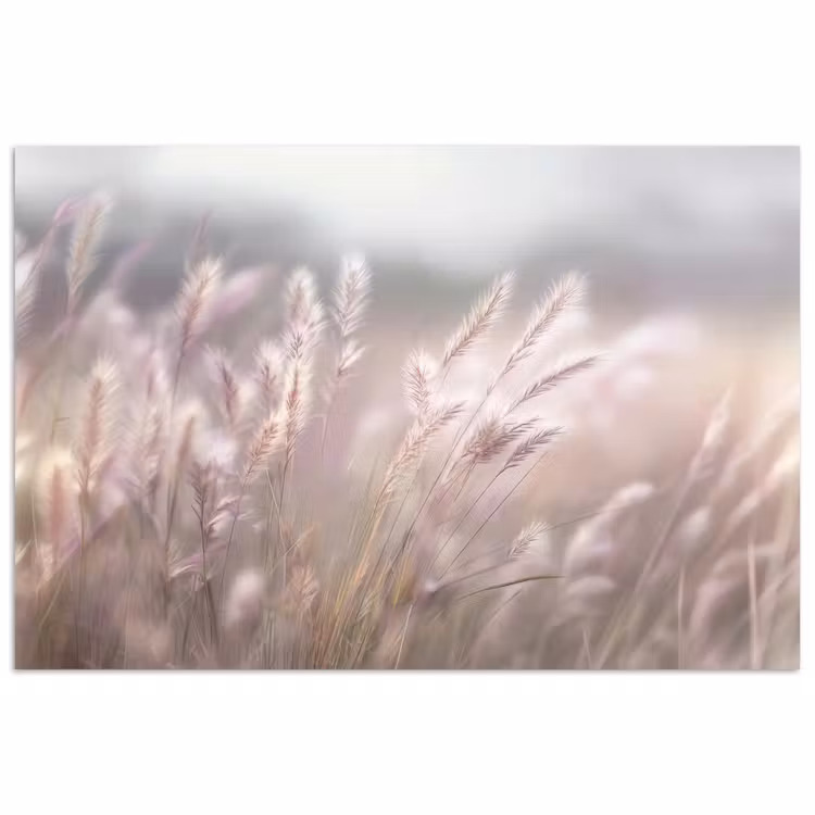Poster - Graspluimen - Wind - Beige - Mistig — 1