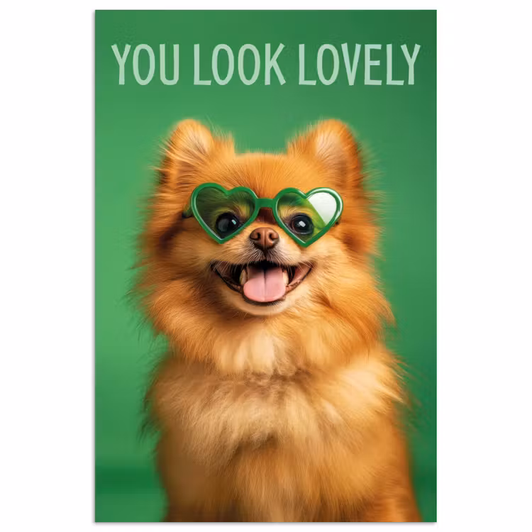 Poster - Hond - Zonnebril - Valentijn - Love — 1
