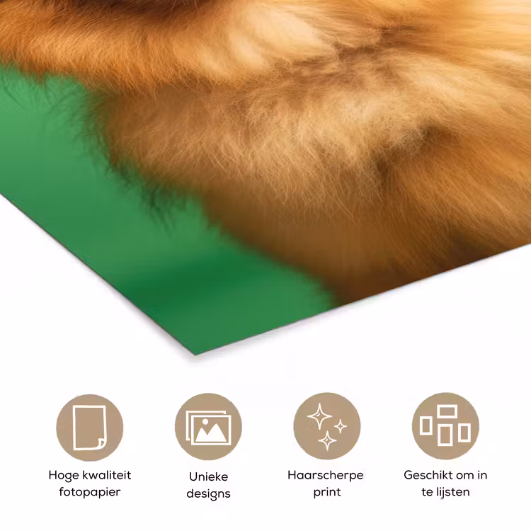 Poster - Hond - Zonnebril - Valentijn - Love — 5