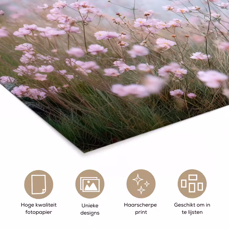 Poster - Klif - Bloemen - Zee - Roze — 5