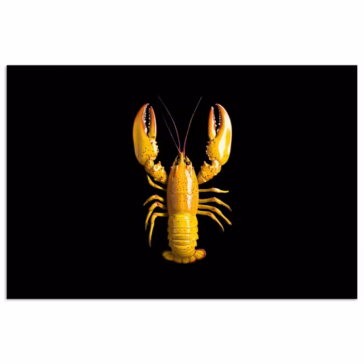 Poster - Kreeft - Geel - Stippen - Effen — 1