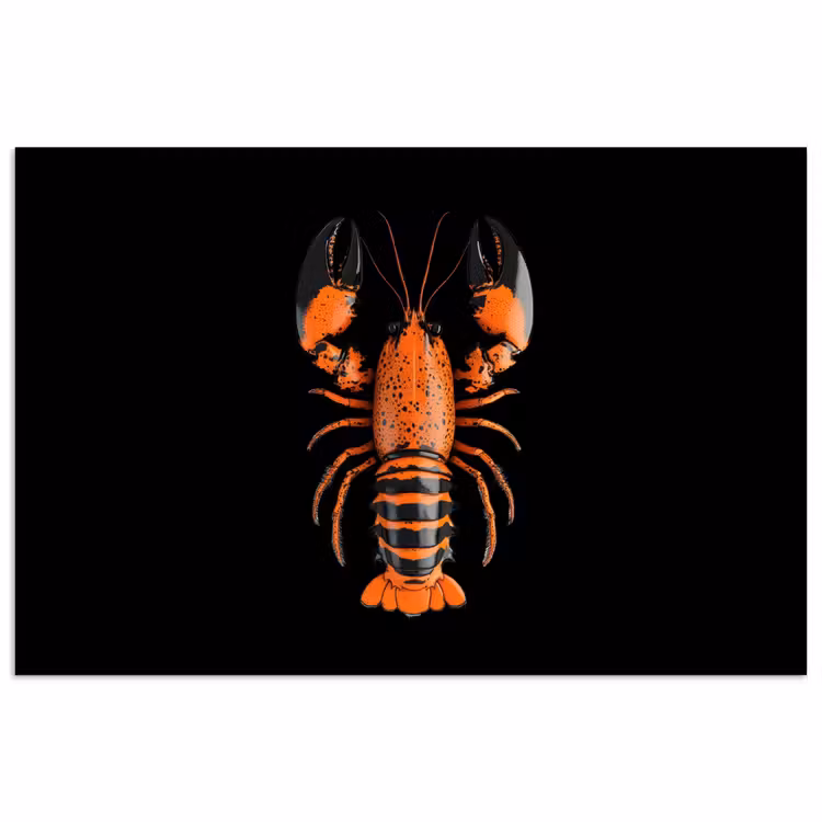 Poster - Kreeft - Oranje - Zwart - Modern — 1
