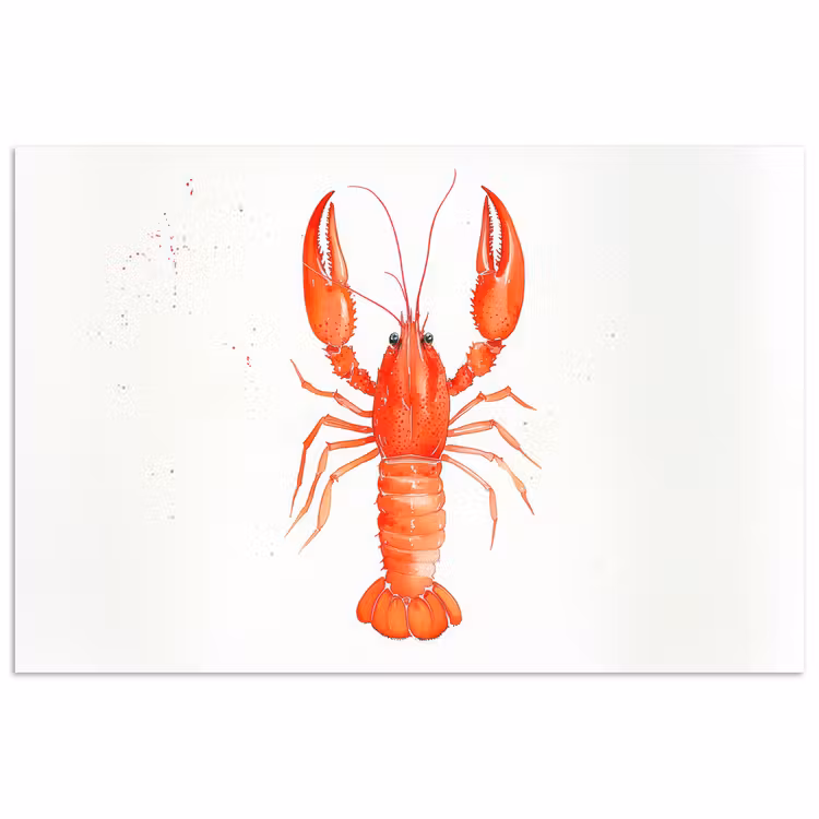 Poster - Kreeft - Waterverf - Aquarel - Oranje — 1