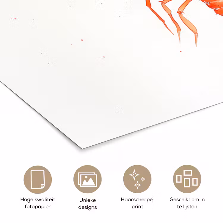 Poster - Kreeft - Waterverf - Aquarel - Oranje — 5